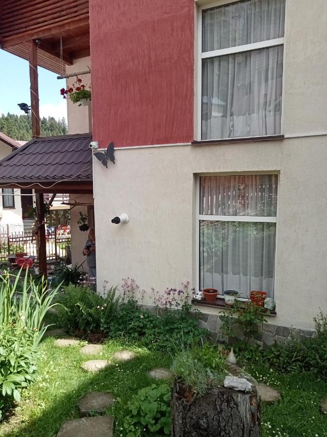 Casa Crisandri Busteni 호텔 외부 사진