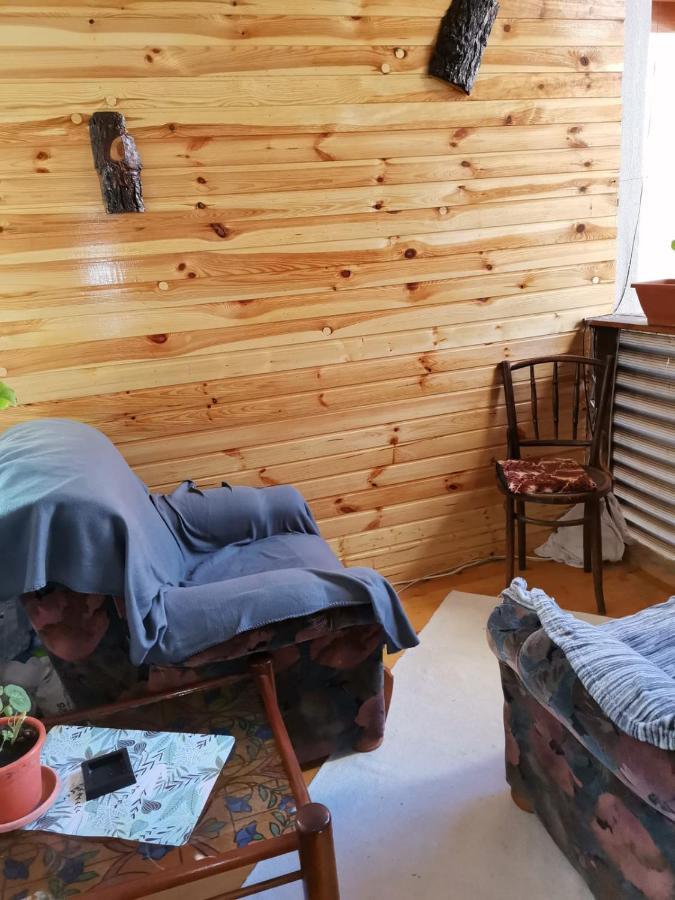 Casa Crisandri Busteni 호텔 외부 사진